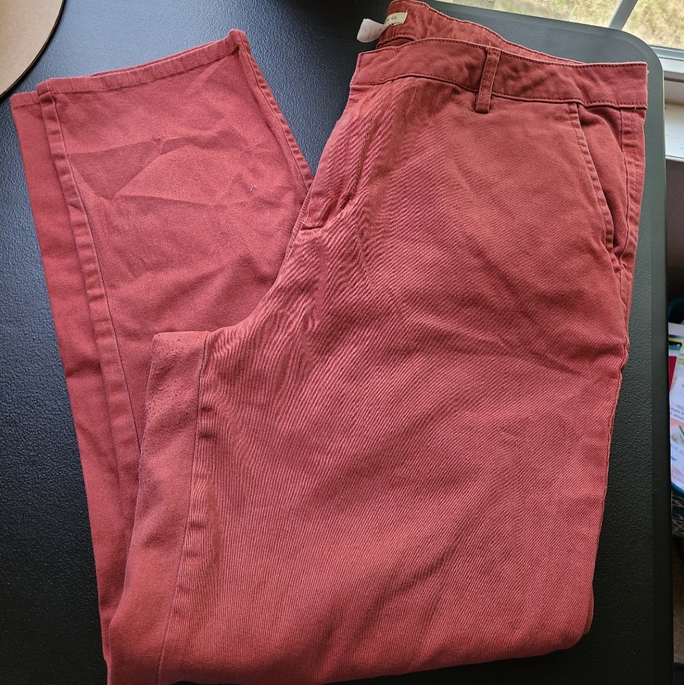 Ankle length pants